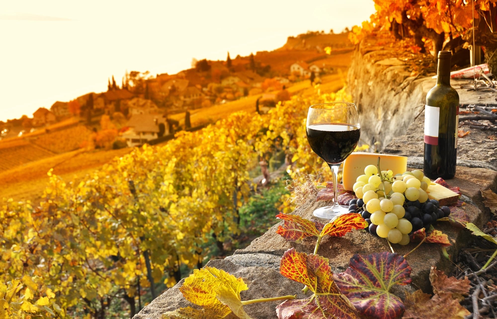 Luxury hotels in France