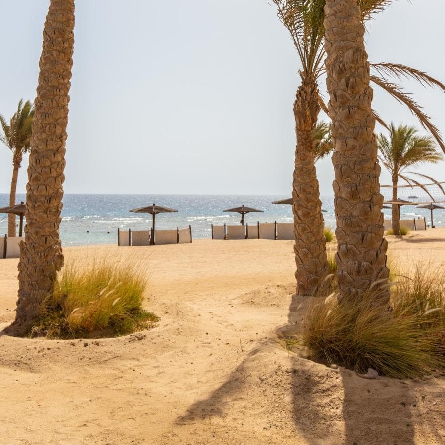 The Oberoi, Sahl Hasheesh – photo 3