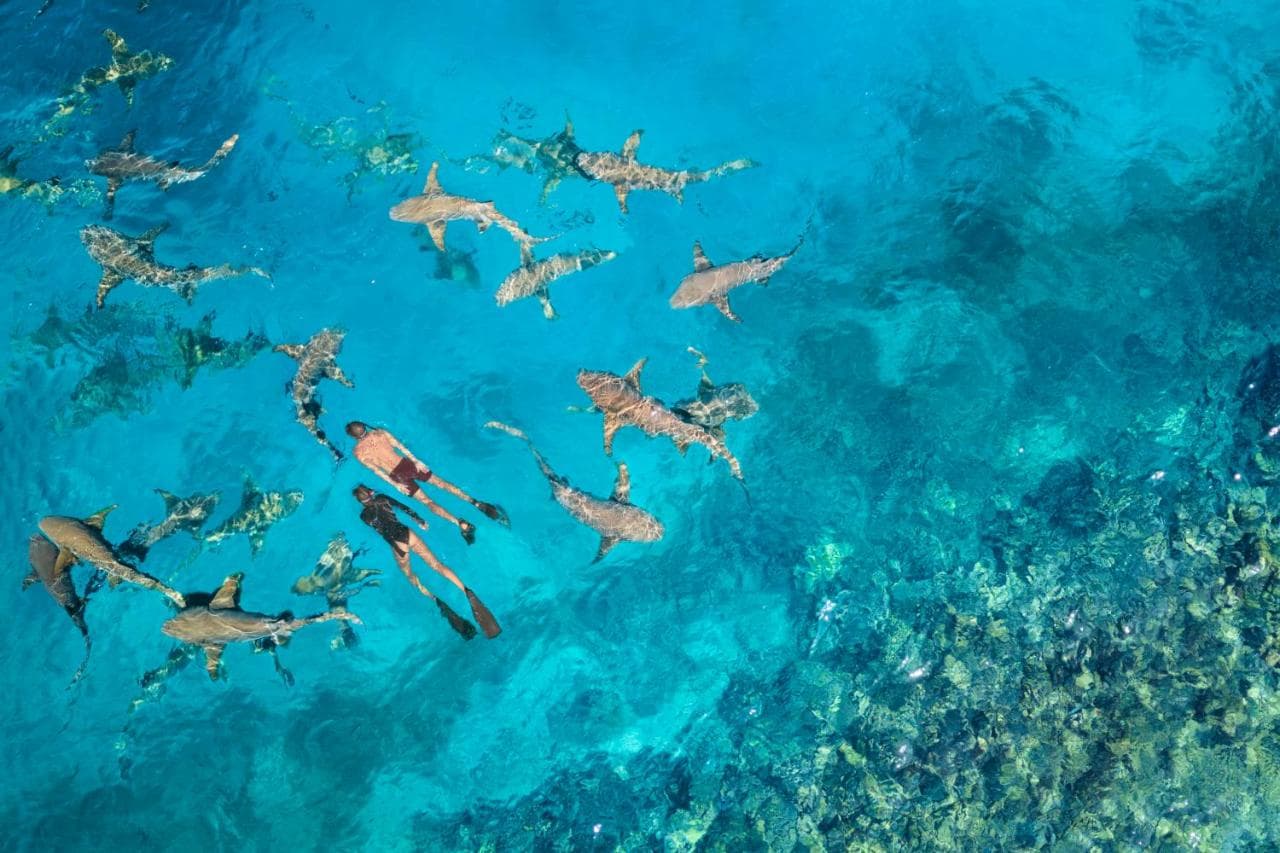 Anantara Veli Maldives Resort - Adults Only – photo 5