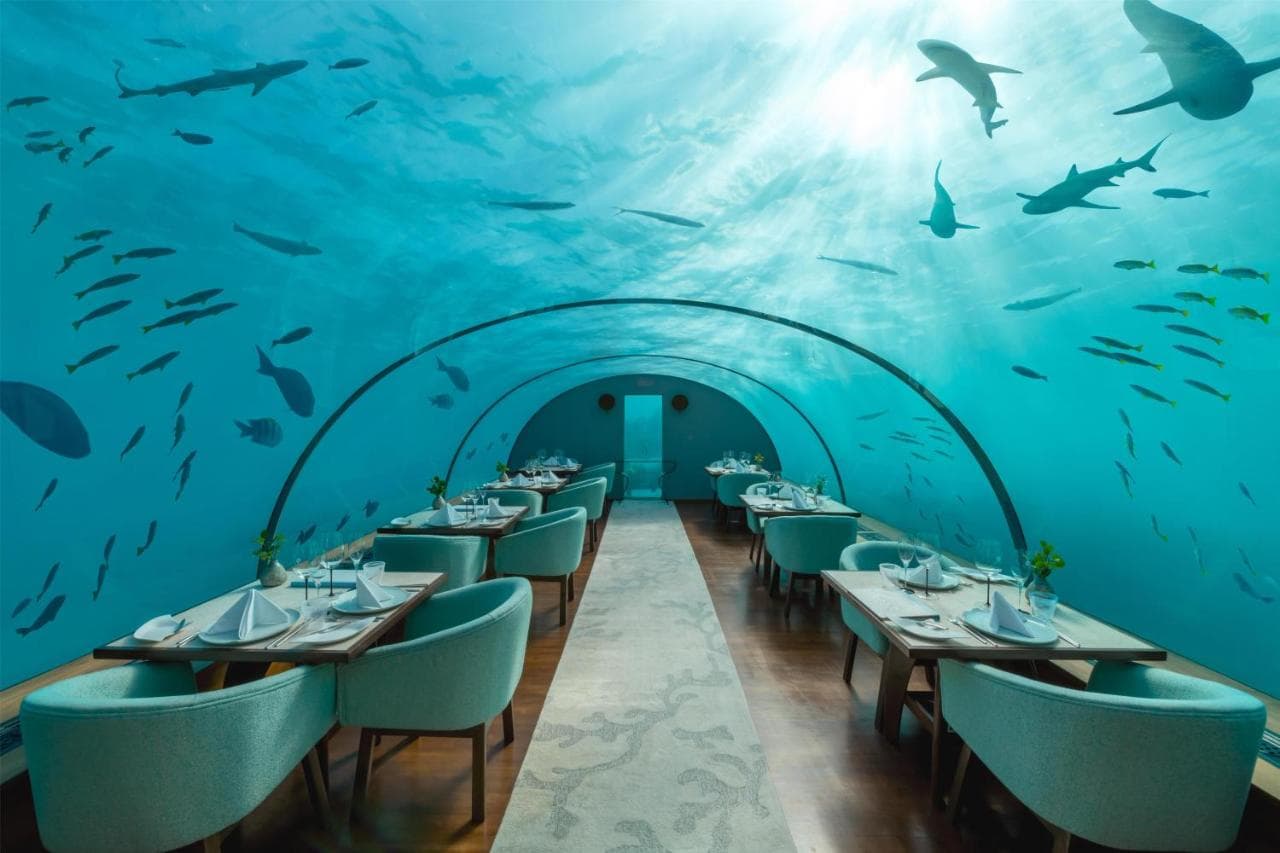 Conrad Maldives Rangali Island – photo 5